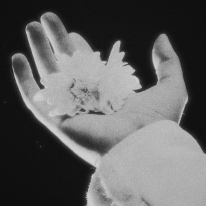 טבע by Hila Ruach