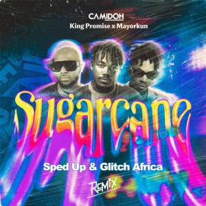 Sugarcane - Sped Up Remix