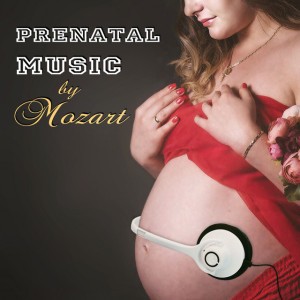Violin Sonata No. 33 in E-Flat Major, K. 481: I. Molto allegro (Flute Harp Version)