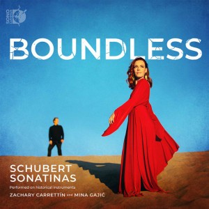 Violin Sonata No. 1 in D Major, Op. 137 No. 1, D. 384: III. Allegro vivace