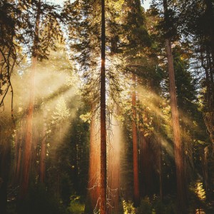Listening to the Distance