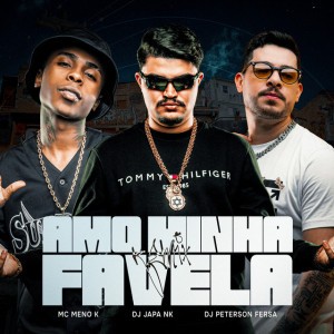 Amo Minha Favela - Remix
