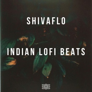 Indian Lofi Beats Lazy Afternoon