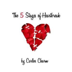 Stage 5 (Acceptance): Thank You