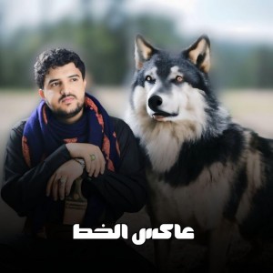 عاكس الخط