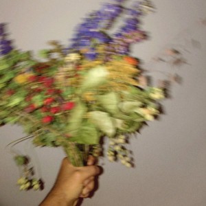 Dagdrøm [1]