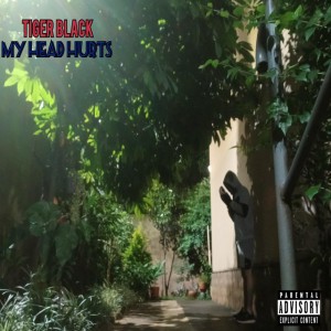 Gasolina Mental by Tiger Black