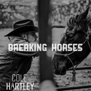 The Cowboy (A Tribute to Horses)