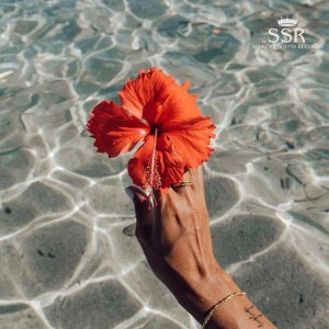 Ibiskis by VibezNTingz