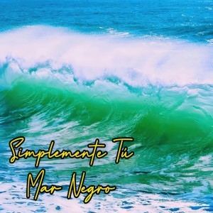 Simplemente Tú Mar Negro - En Vivo