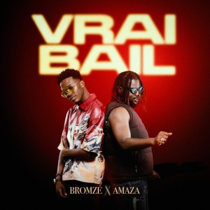 Vrai Bail