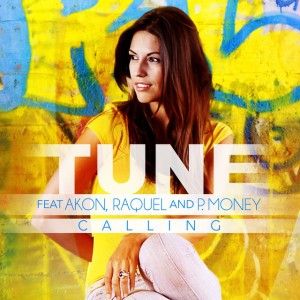 Calling (feat. Akon) [David May Extended Mix]