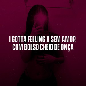 I Gotta Feeling X Sem Amor Com Bolso Cheio de Onça