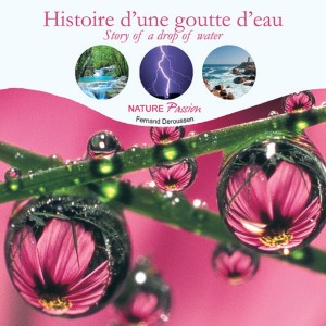 Pluie