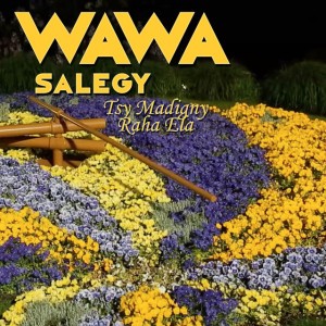 Tsy Madigny Raha Ela by Wawa Salegy