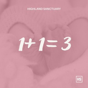 1+1=3