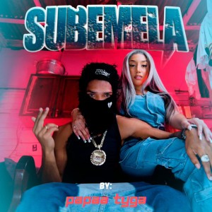 Sube Mela