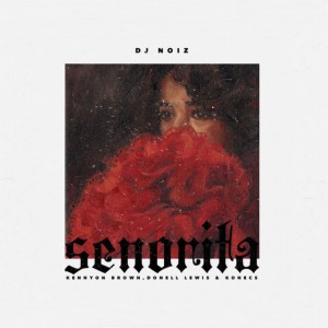 Senorita by DJ Noiz & Kennyon Brown & Donell Lewis & Konecs