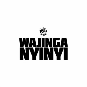 Wajinga Nyinyi