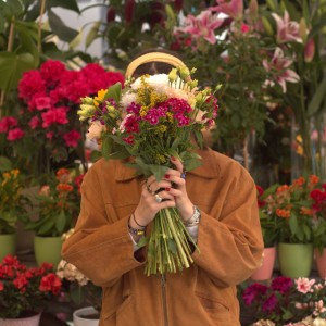 Járatlan by laurie. & sosehol