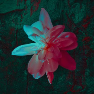Pancarona