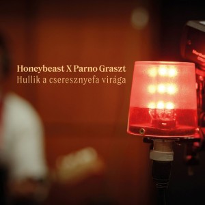 Hullik a cseresznyefa virága by Honeybeast & Parno Graszt