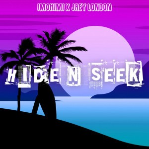 Hide N Seek