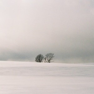 모르시나요(PROD.로코베리)