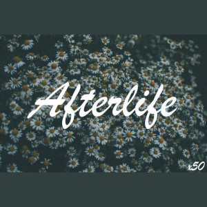 Afterlife