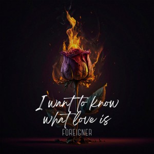 I want to know what love is (House)