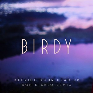 Keeping Your Head Up (Don Diablo Remix / Radio Edit)