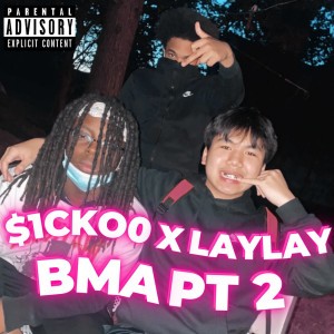 BMA PT2
