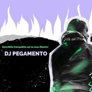 Sencillita tranquilita así na mas (Remix)