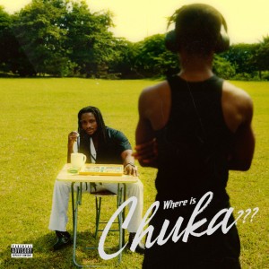 Not For Radio by Chuka