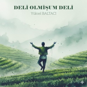 DELİ OLMİŞUM DELİ