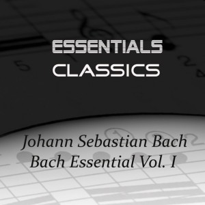 Brandenburg Concerto No.2 in F Major, BWV 1047: I. Allegro