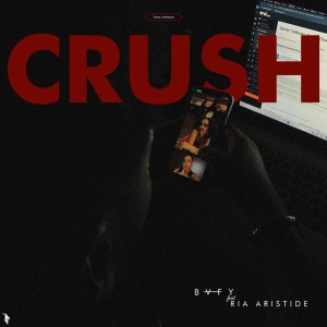 Crush (Toxic Version) - Remix