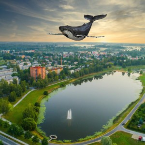Paala Järve Vaala Baar
