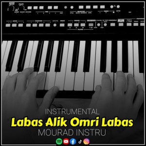 Labas Alik Omri Labas