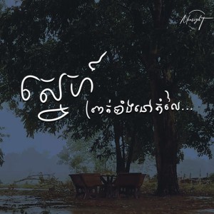 ស្នេហ៍ព្រាត់ទាំងនៅតម្លៃ VIOLIN