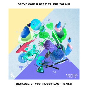 Because of You (feat. Bri Tolani) [Robby East Remix]