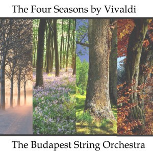 Concerto No. 4 In F Minor RV 297 "Winter" - Allegro Con Molto