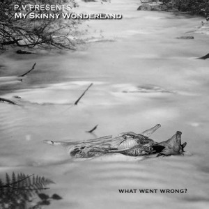 Finally (feat. Pierre Vervloesem & Didier Fontaine)