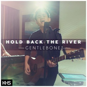 Hold Back the River
