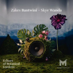 Phezulu by Zakes Bantwini & Skye Wanda