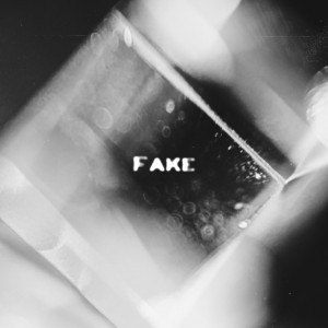 Fake