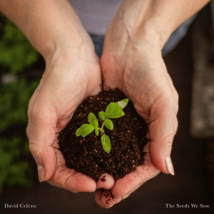 Planting the Seeds
