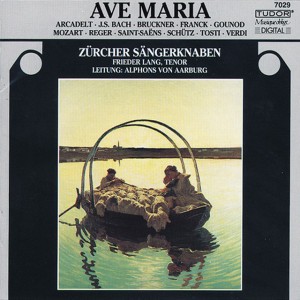 Ave Maria (arr. for tenor, choir and organ)