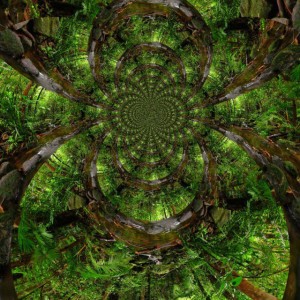Tribal Frequency