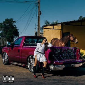 Passe par chez moi (feat. Danyl)